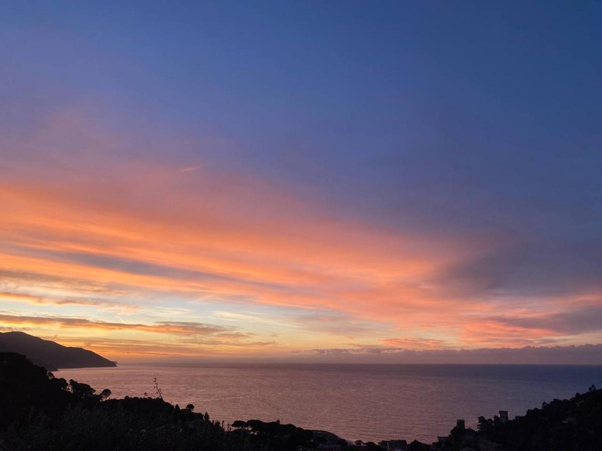 Sunrise Apartament Monterosso al Mare Eksteriør bilde